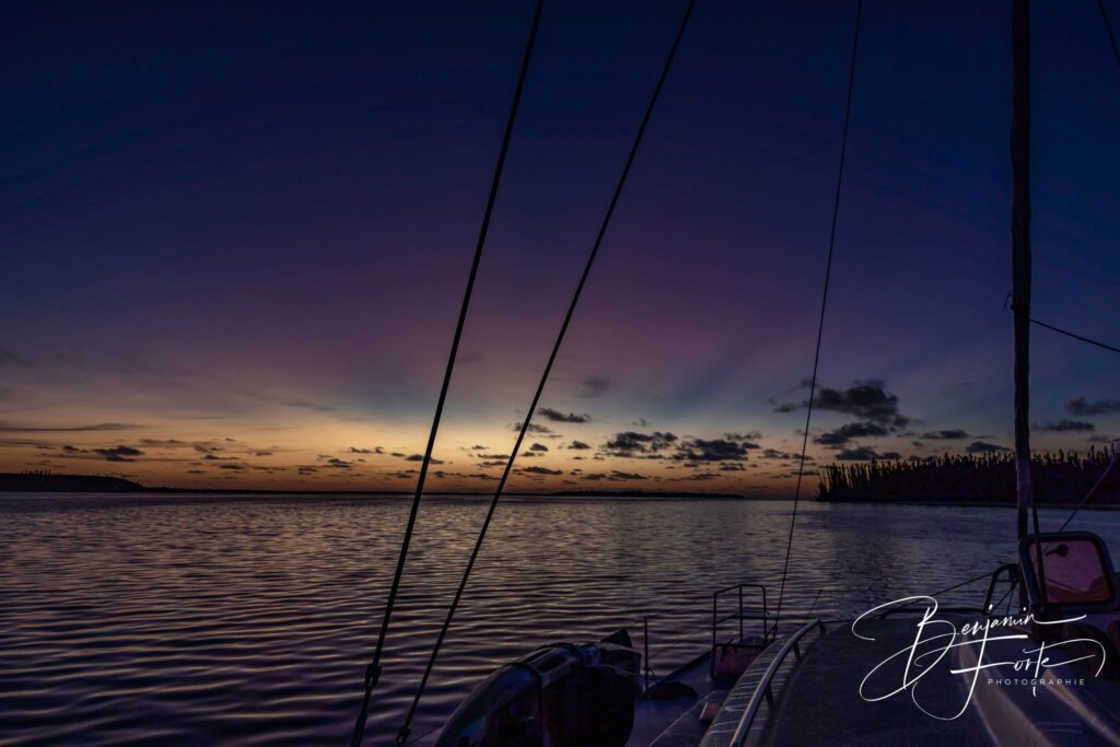 Dusk at anchor, columnar pines and the rigging of myCloud
