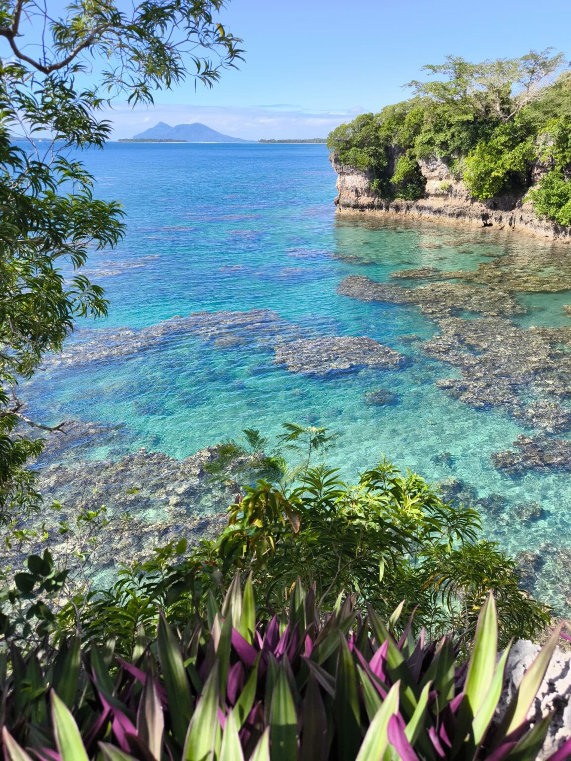 Eau turquoise et blocs de corail vus d’en haut, plantes violettes au premier plan et île bleutée au loin