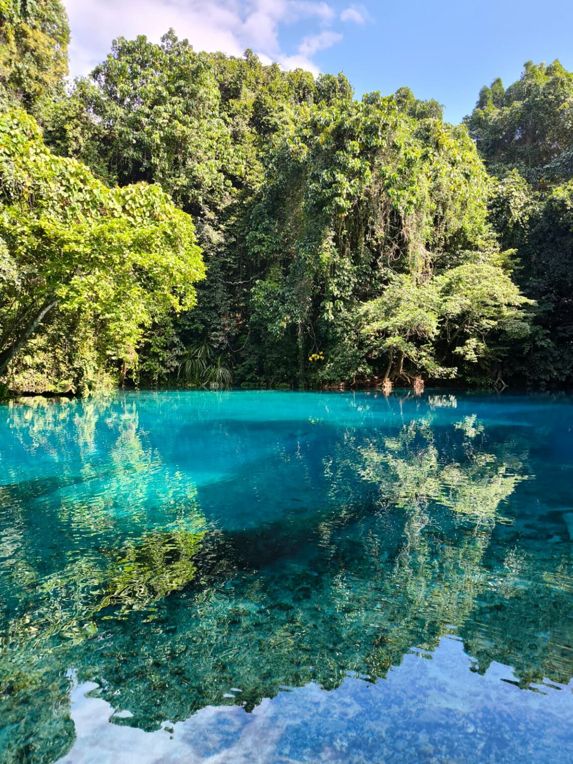 Reflections of a forest in perfectly calm turquoise water, smooth surface